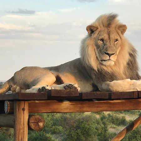 Weltevreden Game Lodge بلومفونتين المظهر الخارجي الصورة