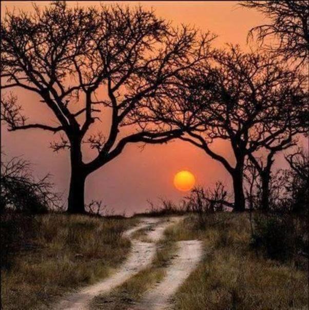 Weltevreden Game Lodge بلومفونتين المظهر الخارجي الصورة