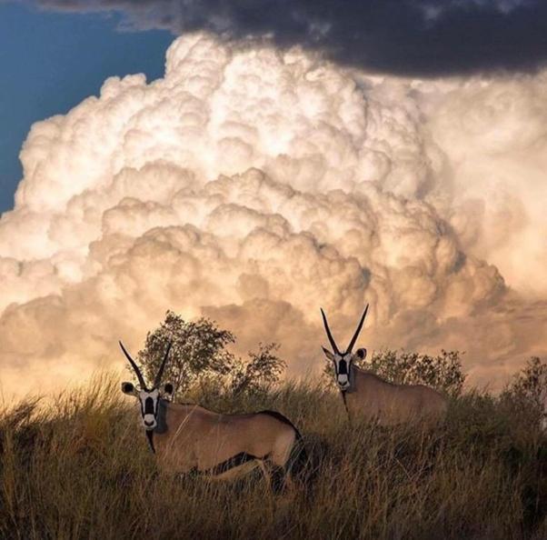 Weltevreden Game Lodge بلومفونتين المظهر الخارجي الصورة