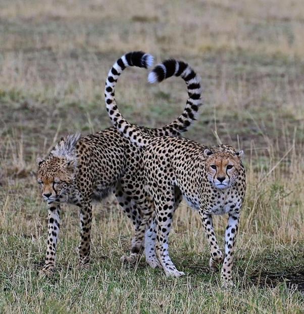 Weltevreden Game Lodge بلومفونتين المظهر الخارجي الصورة